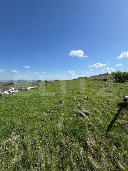 Casă individuală cu 6 camere cu Teren 8700 Mp în Mihai Viteazu