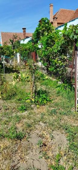 Casă cu 3 camere cu Teren 700 Mp în Central
