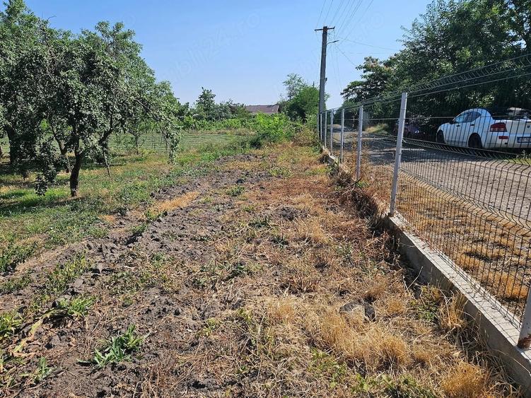 Vand 2000 mp teren intravilan ( situat intre case) in loc. Maxenu - (10 min de orasul Buzau) - 2