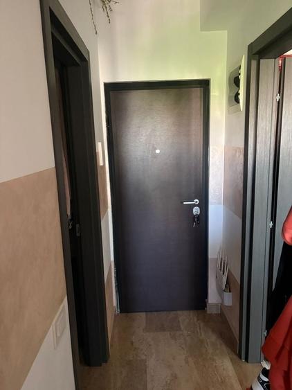 Inchiriez apartament cu o camera nicolina 2 - 2