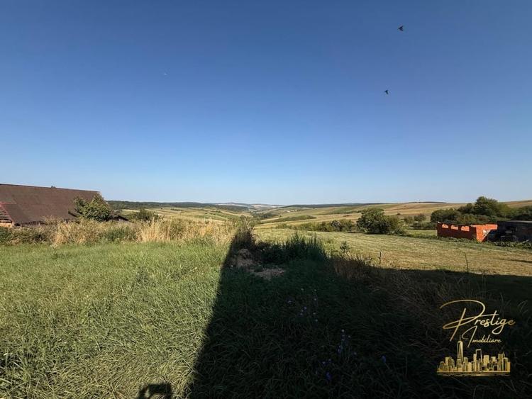 Teren Construcții intravilan de 3255 mp, în Tășad