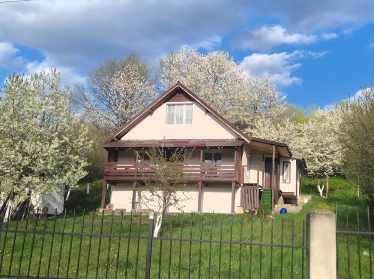 Casă cu 2 camere în Sărata