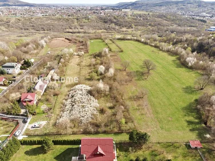 Mountain Plateau - 23.345 SQM - Exclusive Estate | Jud Prahova - Valea Prahovei - 5