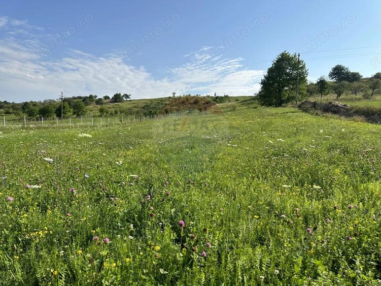 Teren de 8300 mp, în Negrești (Dobreni)