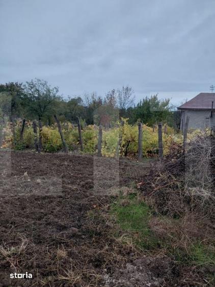 Casă cu 2 camere cu Teren 2142 Mp în Carpen