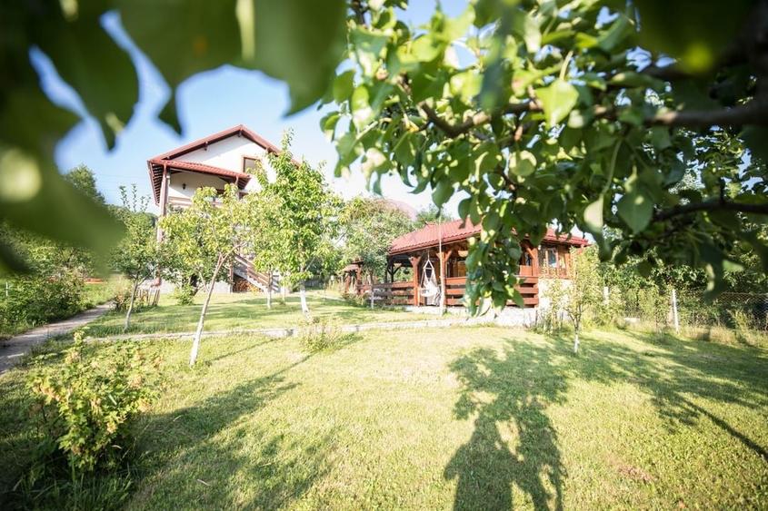 Casă / Vilă cu 8 camere de vânzare - 34