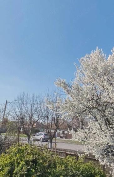 Casă cu Teren 1401 Mp în Amara