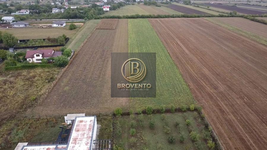 Teren Construcții intravilan de 12000 mp, în Moara Vlăsiei