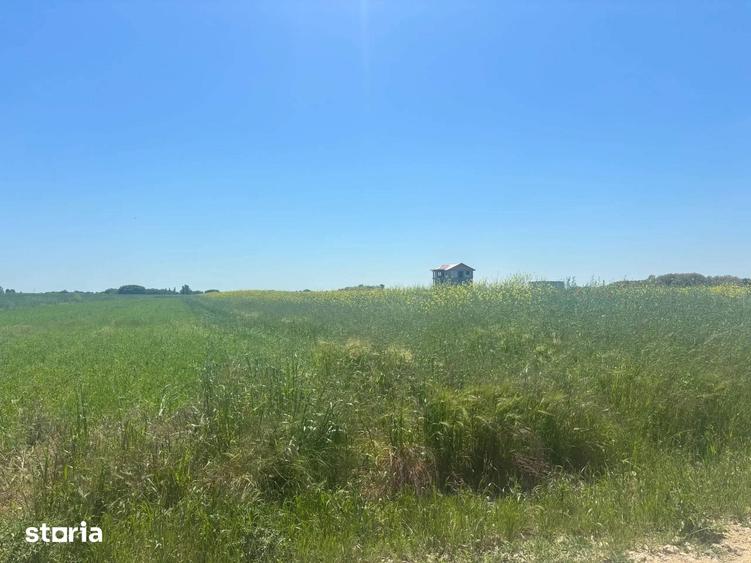 Teren de 500 mp, în Vidra