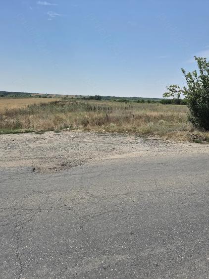 Teren de 3700 mp, în Sadina
