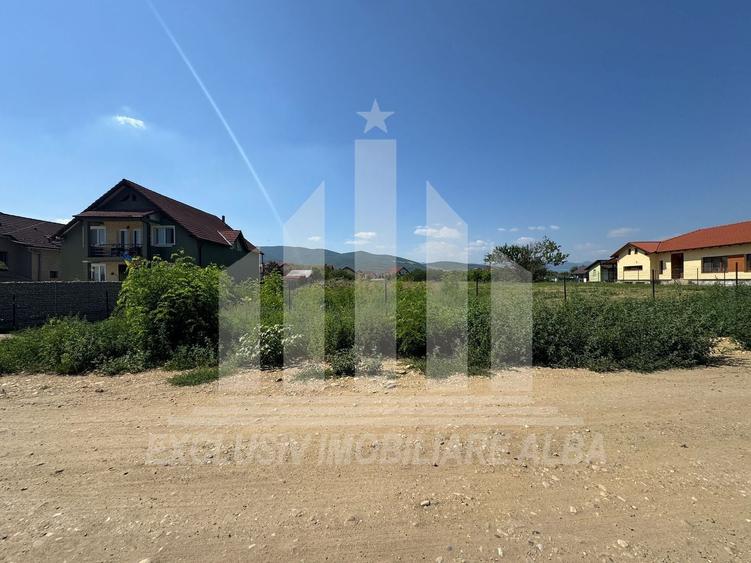 Teren Construcții intravilan de 4000 mp, în Cetate
