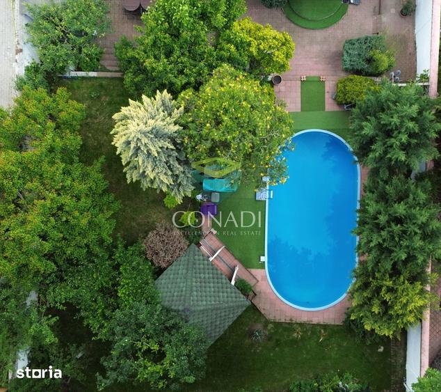 Exclusivitate / Iancu Nicolae-Pipera, vila cu piscina, langa padure - 9