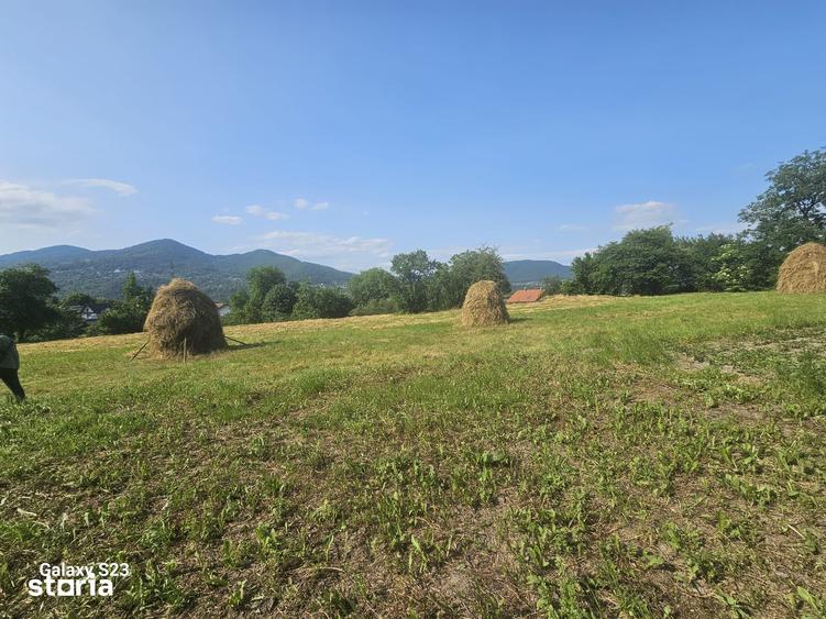 Teren de 1000 mp, în Alexandru cel Bun