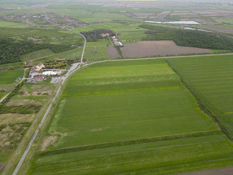 Teren agricol extravilan de 22500 mp, în Sud-Vest
