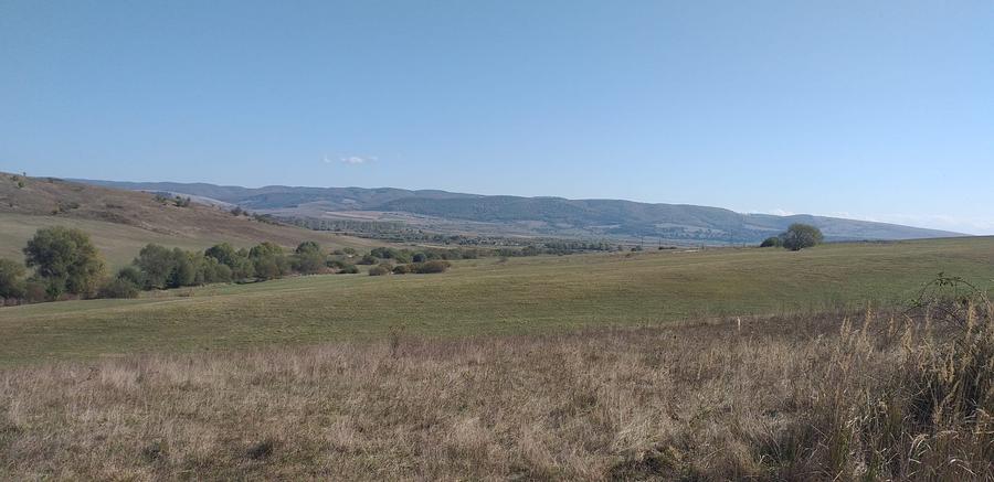 Teren agricol extravilan de 5000 mp, în Apața