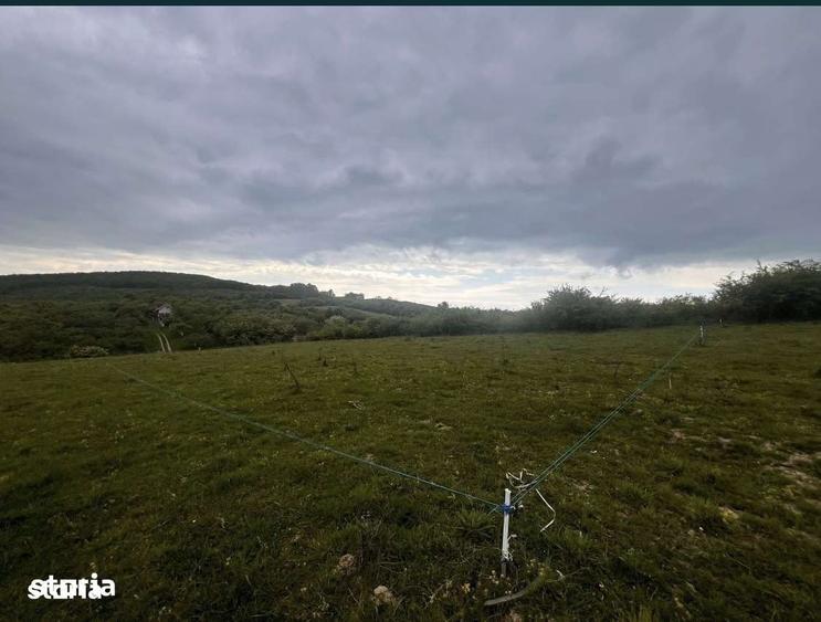 Teren intravilan pentru casa 500mp vedere panoramica Aleea Trifoiului - 13