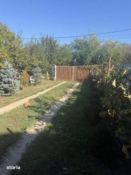 Teren de 500 mp, în Păulești