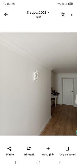 Vand casa p+1 ,valu lui traian - 8