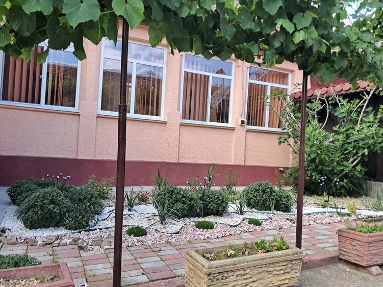 Casă cu Teren 2049 Mp în Bazoș