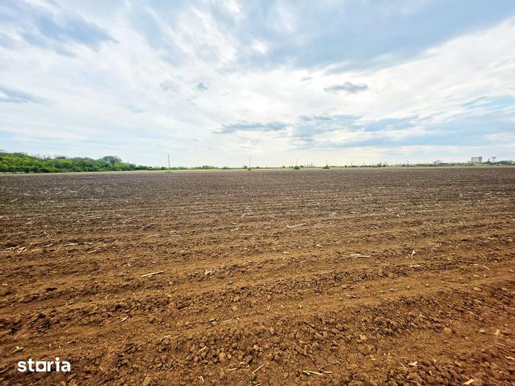 Teren de 7900 mp, în Bucov