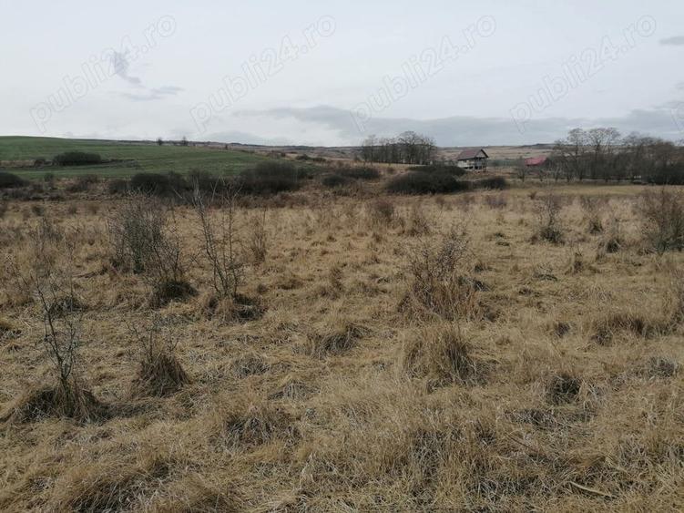 Teren de 12600 mp, în Feiurdeni