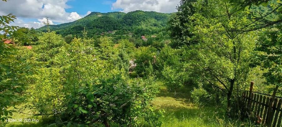 Teren de 800 mp, în Ibănești