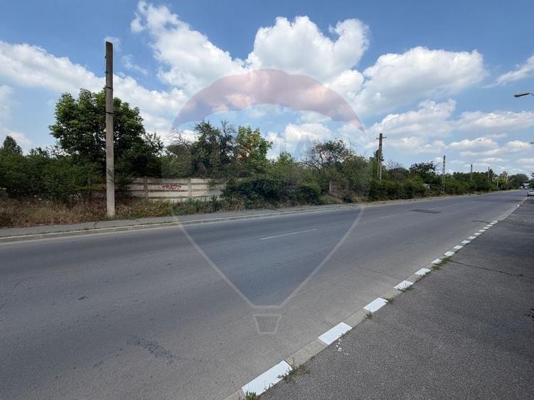 Teren Construcții intravilan de 50580 mp, în Giulești