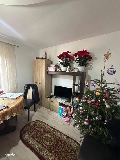 De vanzare casa P+M cu 5 dormitoare,2 bai, in comuna Horia 95000 euro - 14