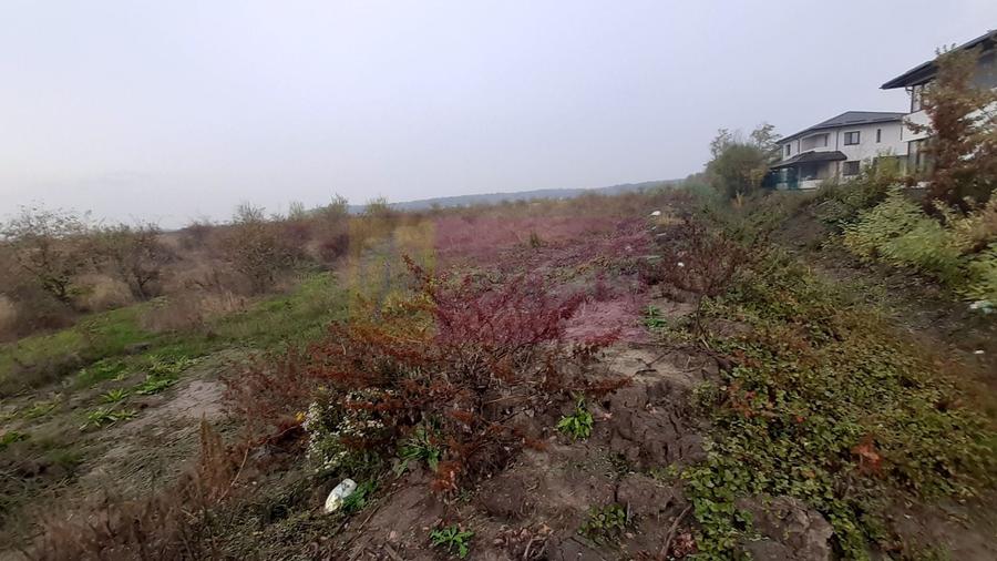Teren agricol extravilan de 5000 mp, în Corbeanca
