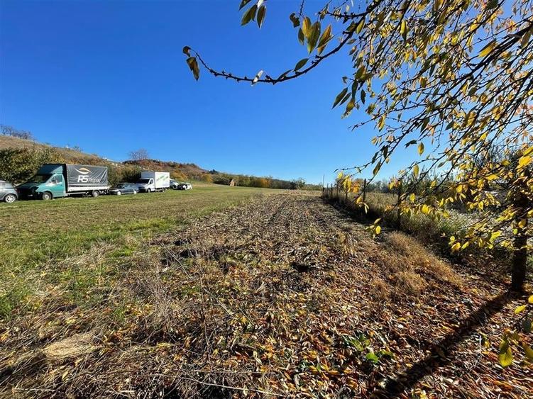 Casă individuală cu 5 camere cu Teren 4500 Mp în Tinăud