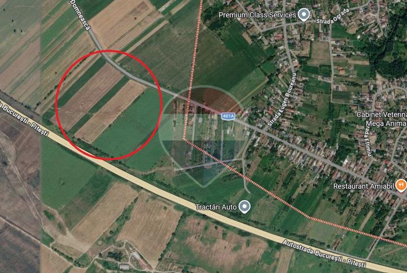 Teren Construcții intravilan de 17900 mp, în Palanca