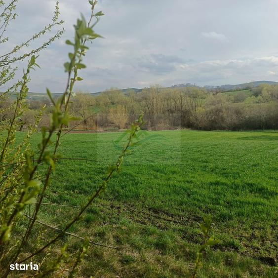 Teren de 3200 mp, în Bosanci