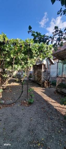 Casa cu 3 camere, anexe, curte si gradina - 5