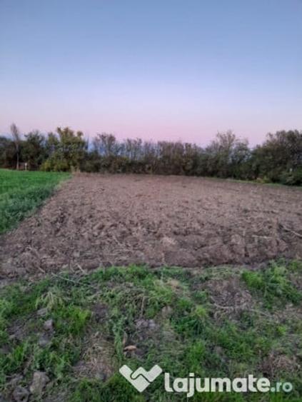 Teren de 1500 mp, în Plătărești