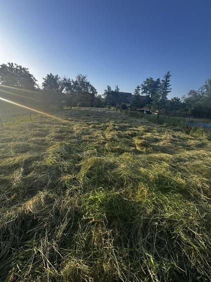 Casă cu 4 camere în Belin