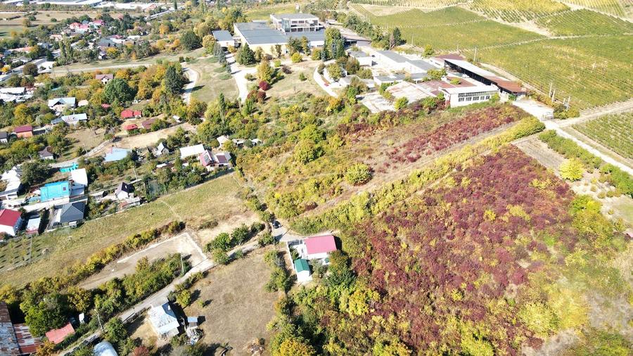 Teren Construcții extravilan de 700 mp, în Ștefănești
