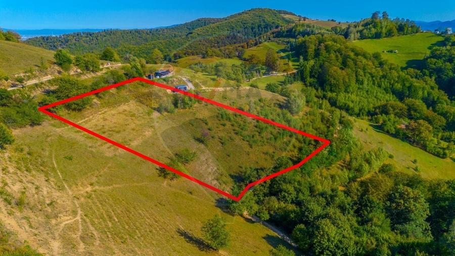 Teren agricol extravilan de 6014 mp, în Holbav