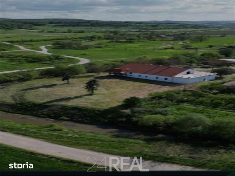 Casă cu 10 camere cu Teren 3600 Mp în Criștioru de Jos