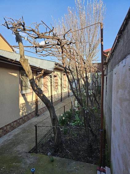 Casa de familie in Braila, str. Alba-Iulia (zona Kaufland Dorobanti), 300 mp - 18