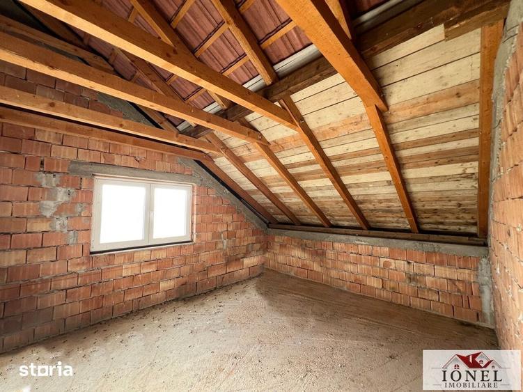 Casă cu Teren 6000 Mp în Teiu