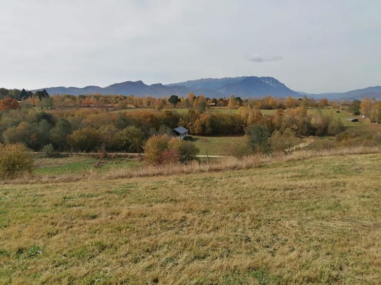 Teren agricol extravilan de 13000 mp, în Sohodol