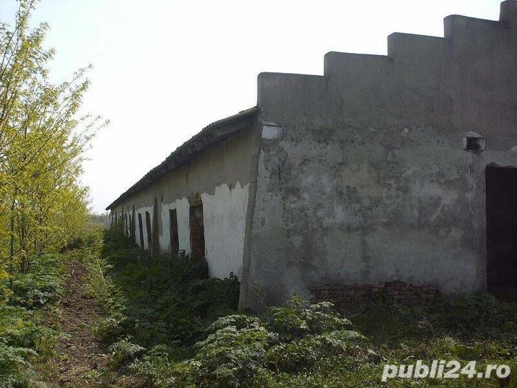 Teren de 1335 mp, în Grădiștea