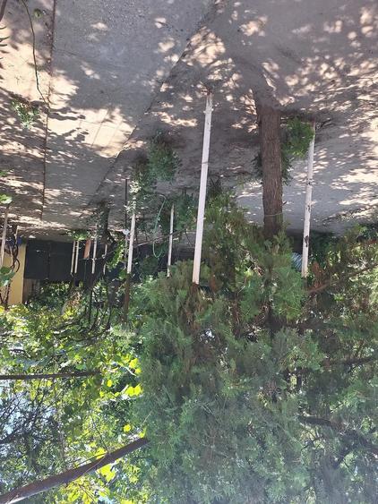 Casă cu 6 camere cu Teren 914 Mp în Poiana Mare