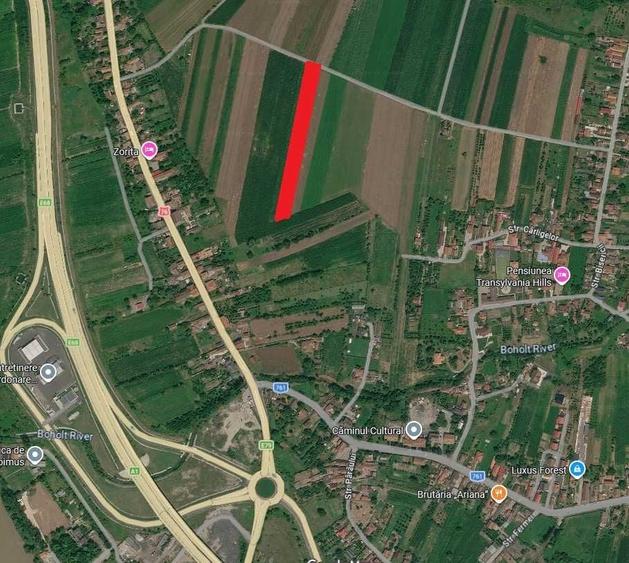 Teren de 5800 mp, în Șoimuș