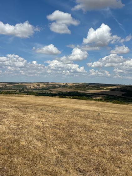 Vanzare teren Uileacu de Munte - 1