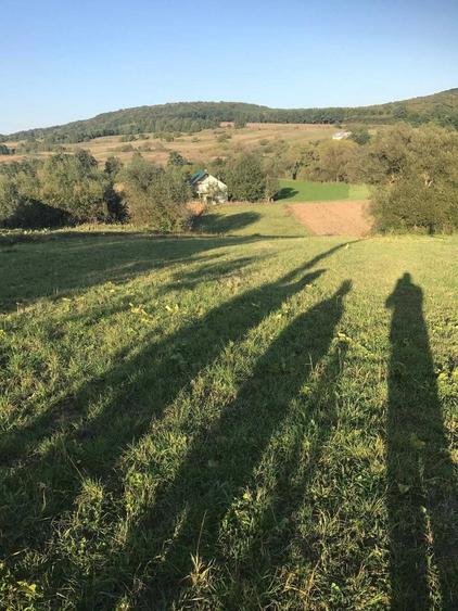 Teren de 2500 mp, în Dărmănești