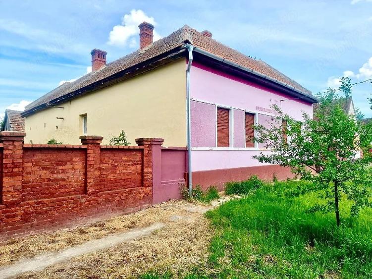 Casă cu Teren 1600 Mp în Central