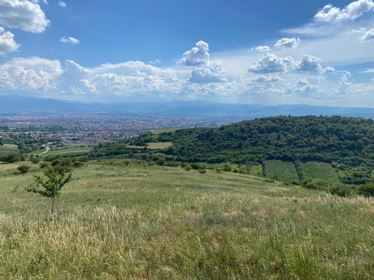 Teren Construcții extravilan de 4664 mp, în Gușterița