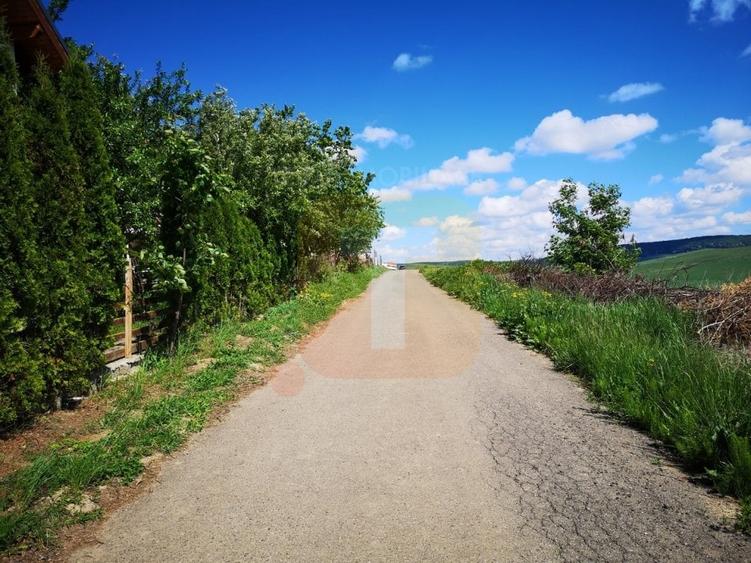 Teren Construcții intravilan de 650 mp, în Calea Romanului