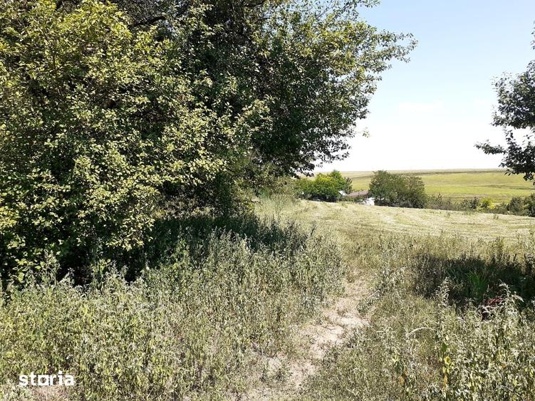 Teren de 8700 mp, în Belciugatele